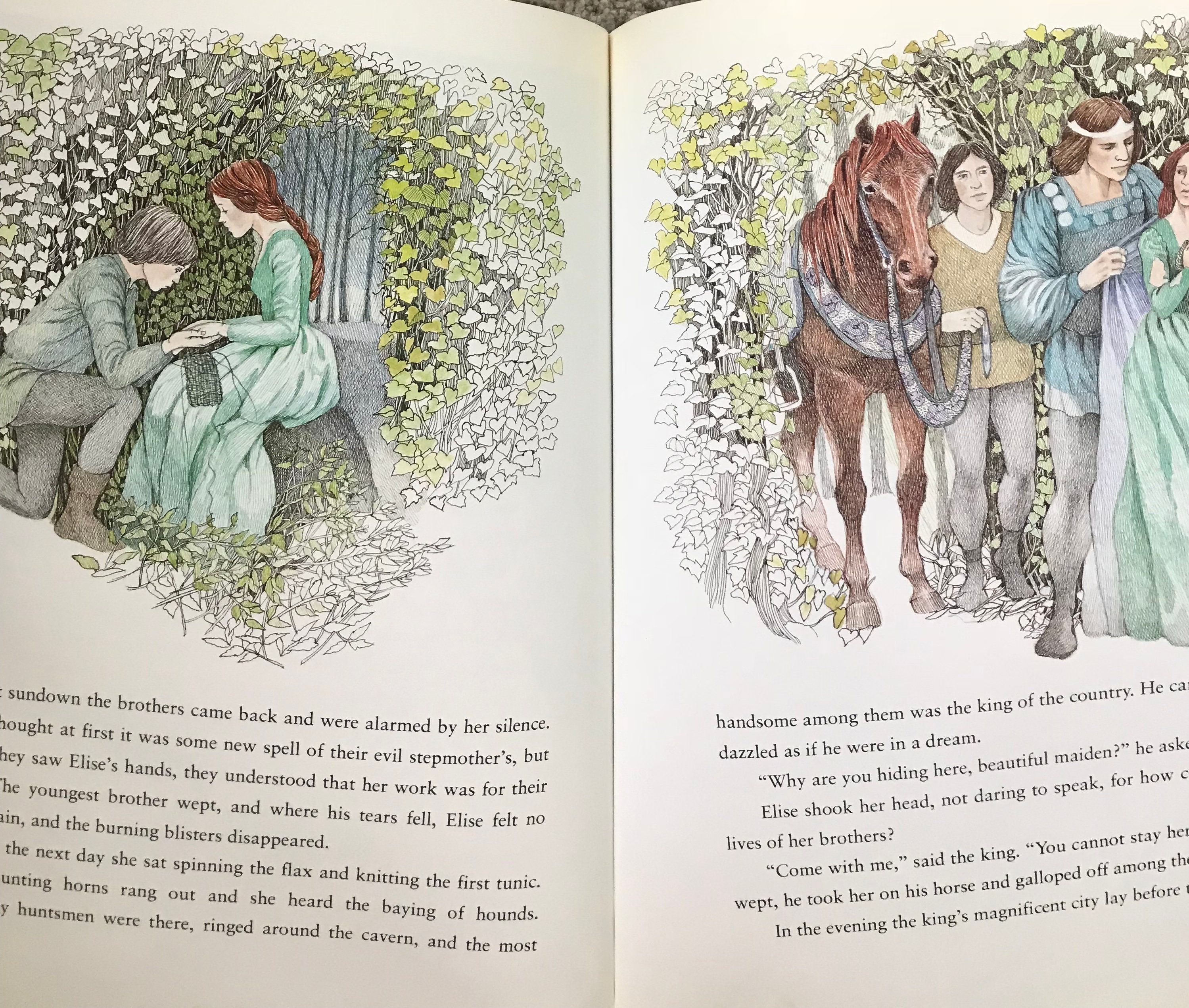 Wild swans essay 03 picture