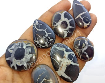 May include: Seven black and white gemstone cabochons with a starburst pattern. The cabochons are in various shapes, including oval, teardrop, and round. The cabochons are on a hand.