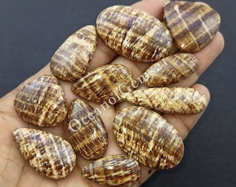 Natural Brown Aragonite gemstone Cabochon - AAA Aragonite jewelry - Aragonite Cabochon lot - Multi Jewelry Making Stone, Loose Gemstone