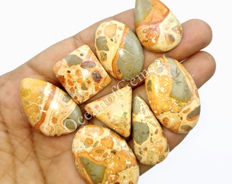 May include: A collection of eight polished, natural, brown, orange, and gray jasper cabochons. The cabochons are various shapes and sizes, including oval, teardrop, and triangular.