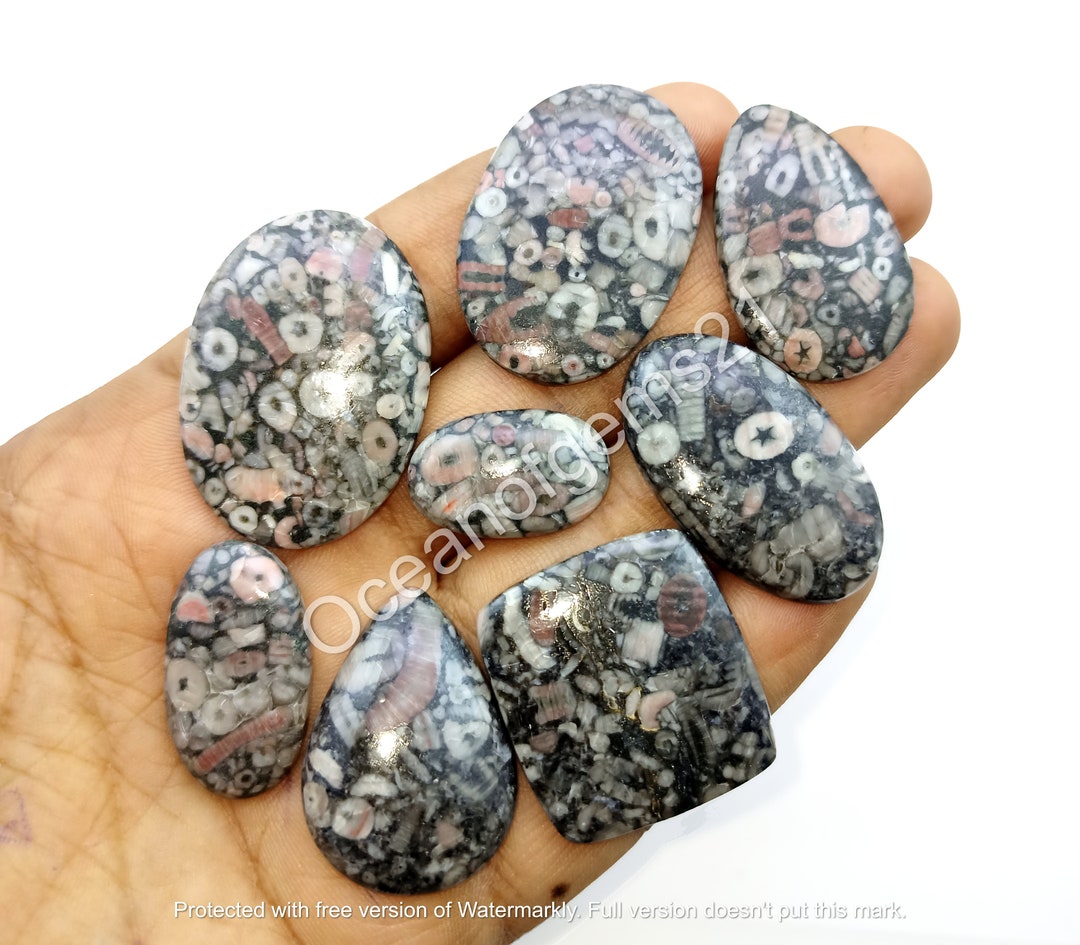 Natural Crinoid Fossil Marble Gemstone Cabochon Crinoid Marble Fossil