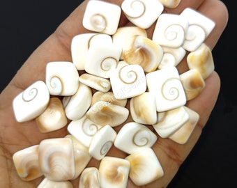May include: A collection of white and brown square shaped shell pieces with a spiral pattern. The shells are smooth and polished.