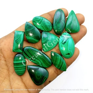 Cabujones de malaquita natural - Malaquita - Malaquita verde - Ideal para hacer múltiples joyas - Lote de malaquita suelta