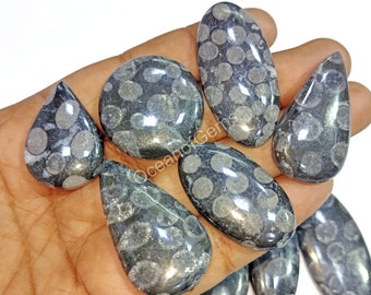 Natural Black Fossil Coral Gemstone Cabochon - AAA Black Fossilized Coral Mixed Assorted lot - Multi Jewelry Making Stone - Loose Gemstone