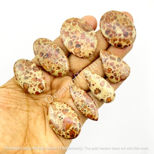 Natural Coffee bean Jasper gemstone Cabochon, Asteroid Jasper, Leopardite Jasper - coffee jasper, Multi Jewelry Making Stone, Loose Gemstone