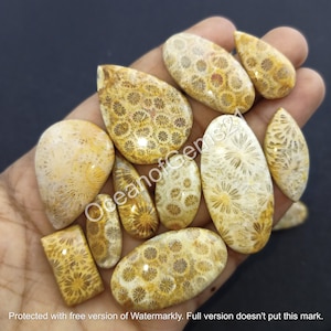 Natural Fossil Coral Gemstone Cabochon - AAA Fossil Coral Mixed Assorted lot - Fossil Coral - Multi Jewelry Making Stone - Loose Gemstone