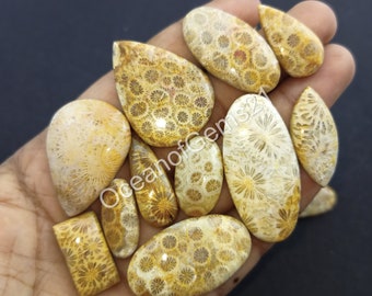 Natural Fossil Coral Gemstone Cabochon - AAA Fossil Coral Mixed Assorted lot - Fossil Coral - Multi Jewelry Making Stone - Loose Gemstone