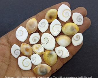 May include: A collection of 18 white and brown oval shaped shell cabochons with a spiral pattern. The shells are approximately 1 inch in length.