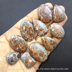 Natural Poppy Jasper Gemstone Cabochon - Poppy Jasper Cabochon, Poppy jasper Mixed Assorted lot, Multi Jewelry Making Stone - Loose Gemstone