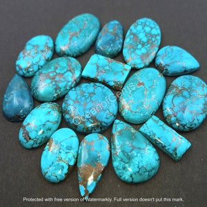 May include: A collection of 16 turquoise cabochons in various shapes and sizes. The stones are a vibrant blue-green color with brown and silver veins running through them.