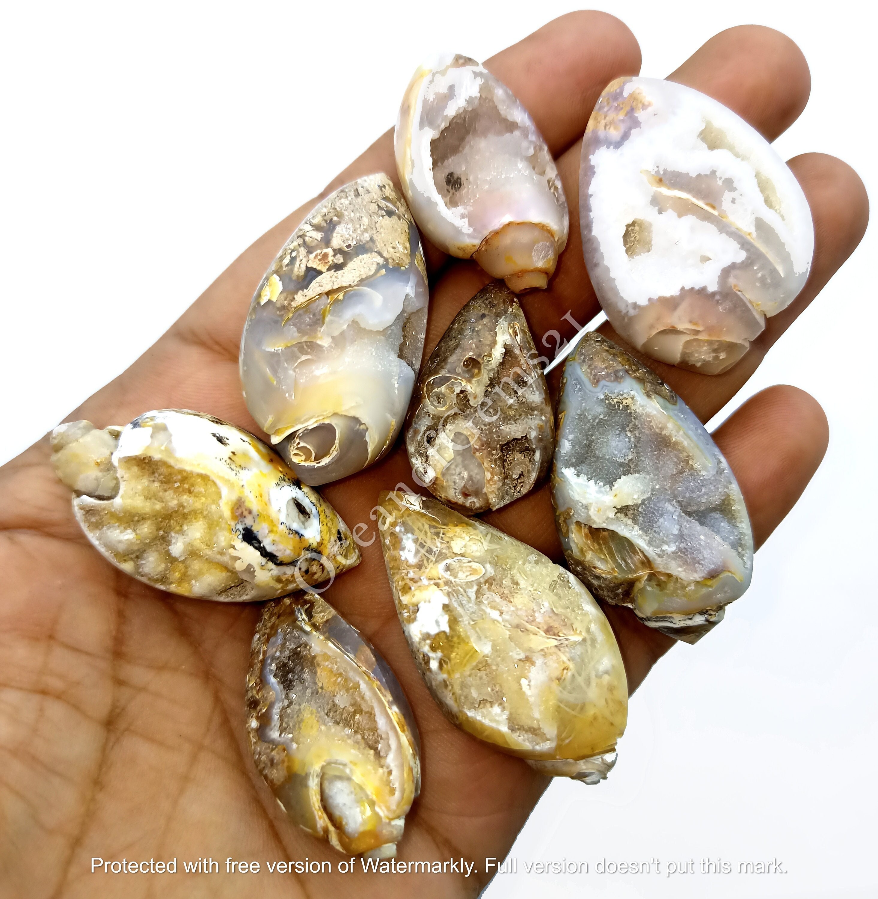Crystallized fossil - Etsy 日本