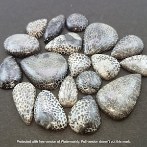 Natural Black Fossil Coral Gemstone Cabochon - coral lot - Fossilized Coral Mixed Assorted lot - Multi Jewelry Making Stone - Loose Gemstone