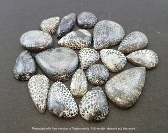 Natural Black Fossil Coral Gemstone Cabochon - coral lot - Fossilized Coral Mixed Assorted lot - Multi Jewelry Making Stone - Loose Gemstone