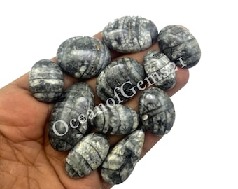 Cabochon fossile di Orthoceras naturale • Pietra preziosa sciolta lavorata a mano • Cabochon a fondo piatto per gioielli e avvolgimento di fili • Pietra fossile per gioielli