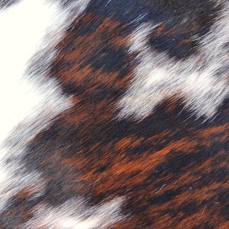 May include: Close-up of a cowhide pattern with a mix of white, black, and brown fur. The natural texture and color variations create a unique, organic look. This image is suitable for backgrounds, textiles, or decorative items.