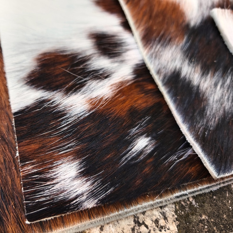May include: Close-up of two pieces of cowhide leather. The leather has a natural pattern of brown, black, and white patches. The texture of the hair is visible, and the edges of the leather are neatly trimmed.