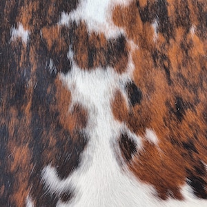 May include: Close-up of a cowhide pattern with a mix of brown, black, and white patches. The natural texture of the hair is visible, creating a rustic and organic aesthetic. The pattern is irregular and varied.