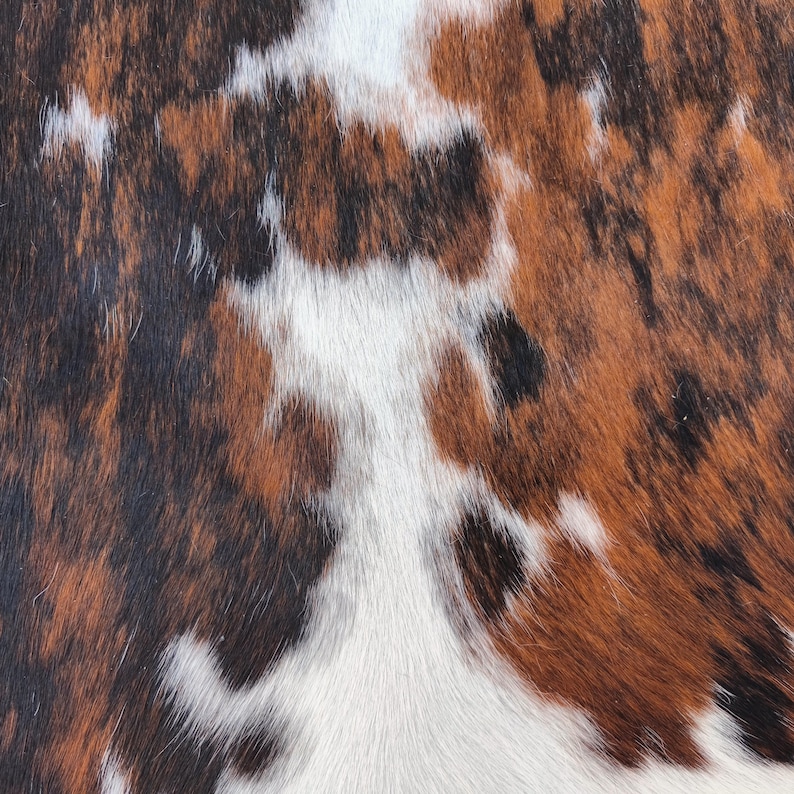 May include: Close-up of a cowhide pattern with a mix of brown, black, and white patches. The natural texture of the hair is visible, creating a rustic and organic aesthetic. The pattern is irregular and varied.