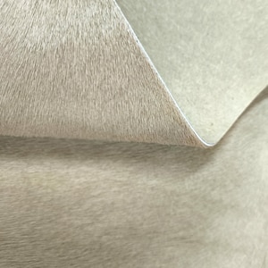 May include: Close-up of a piece of tan-colored cowhide leather. The top layer has short, fine hairs, while the underside is smooth. The edge is curled up, revealing the white interior.