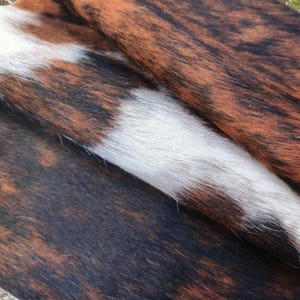 May include: Close-up of a cowhide with a natural brindle pattern. The hide features a mix of dark brown, reddish-brown, white, and black markings. The texture appears soft and the colors are rich and varied.
