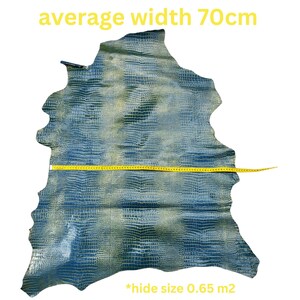 May include: A blue and green crocodile hide with a yellow measuring tape across the middle. The tape reads "average width 70cm". The text "*hide size 0.65 m2" is at the bottom of the image.