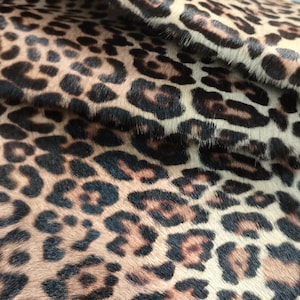 May include: A piece of animal hide featuring a dense, short-haired texture with a classic leopard print pattern. The surface displays a repeating arrangement of dark brown and black rosettes set against a light tan and beige background.