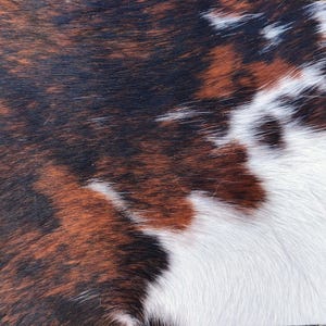 May include: Close-up of a cowhide rug with a natural pattern. The rug features a mix of brown, black, and white patches, creating a textured and organic appearance. The hair is short and dense, giving it a soft look.
