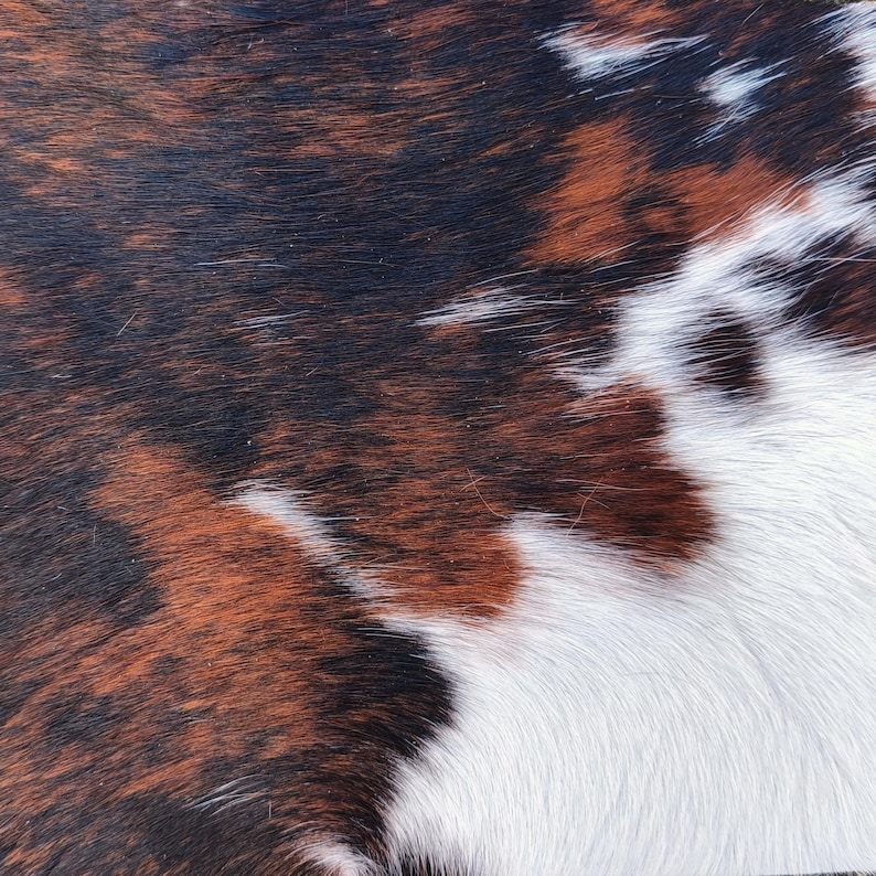 May include: Close-up of a cowhide rug with a natural pattern. The rug features a mix of brown, black, and white patches, creating a textured and organic appearance. The hair is short and dense, giving it a soft look.