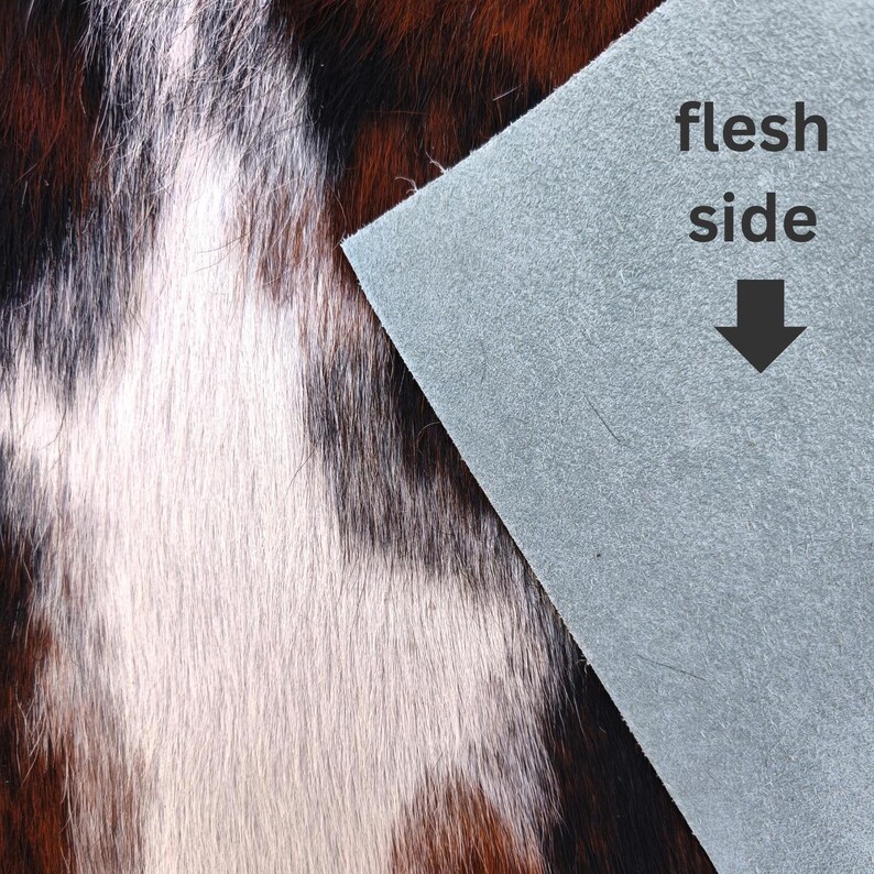 May include: Close-up of a cowhide with a brown, white, and black pattern. A section of the gray flesh side of the leather is visible, with the words "flesh side" and an arrow pointing down.