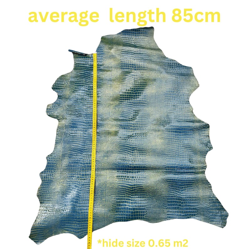 May include: A blue and green crocodile hide with a yellow measuring tape along the side. The tape reads "average length 85cm" and "*hide size 0.65 m2".