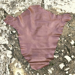 May include: A piece of brown leather with a smooth, slightly textured surface. The leather is laid out flat on a rough, gray surface.