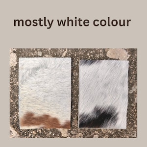 May include: Two rectangular pieces of cowhide with a mostly white color. One piece has brown and white fur, and the other has black and white fur. The text "mostly white colour" is above the cowhide pieces.