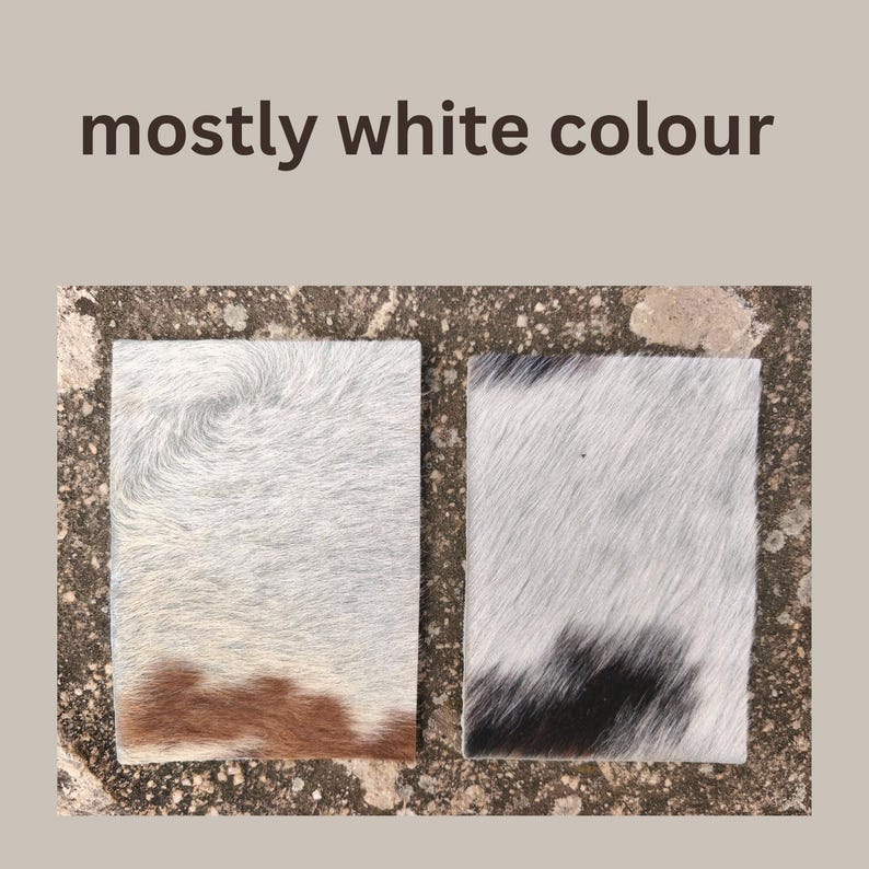 May include: Two rectangular pieces of cowhide with a mostly white color. One piece has brown and white fur, and the other has black and white fur. The text "mostly white colour" is above the cowhide pieces.