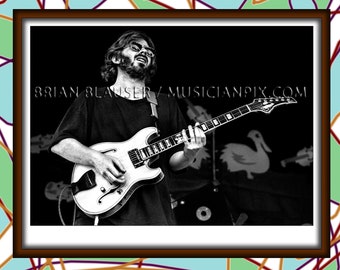 TREY ANASTASIO Phish Photo - 13x19 - Vintage Photograph - Contemporary Digital Print - Concert Musician Photography - Prog Rock Jam Band