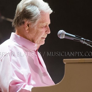 Brian Wilson Concert Photo: 2017 The Beach Boys, Archival Print
