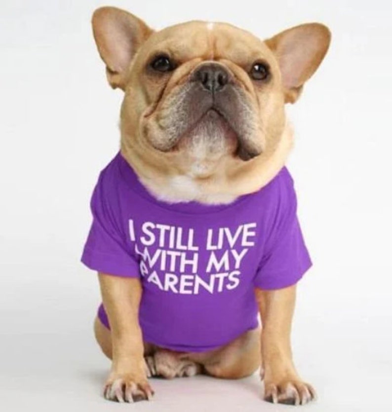 clothes for dog lovers