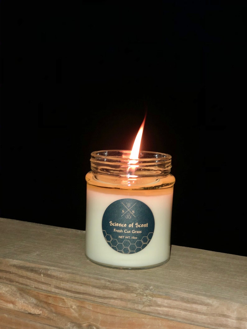 100 Organic Fresh Cut Grass Candle Etsy