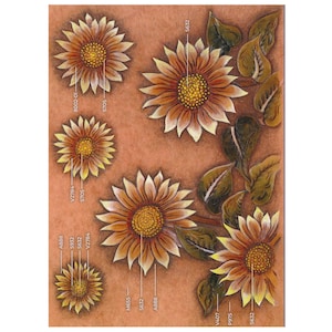 May include: A detailed illustration of sunflowers in various stages of bloom. The flowers have orange petals with yellow tips and dark brown centers. Green and brown leaves and stems are also present. The background is a solid, muted orange.