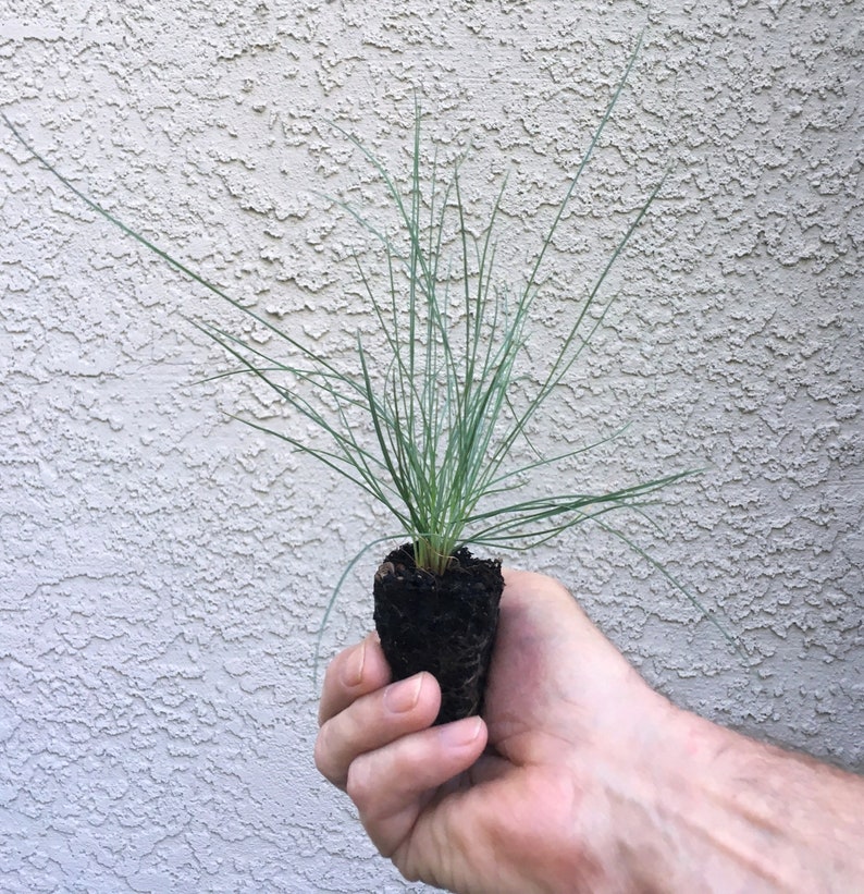 May include: A white ceramic mug with a black handle and the text "But First, Coffee" in a black, bold font. The mug is on a white surface.