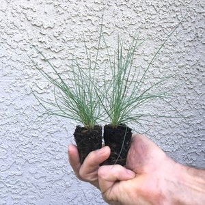 May include: A rustic wooden sign with the text "Welcome to our home" in white lettering. The sign features a distressed finish and a simple, inviting design, perfect for front door decor.