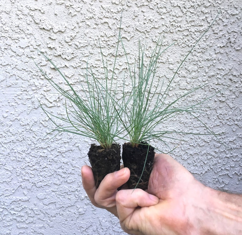 May include: A rustic wooden sign with the text "Welcome to our home" in white lettering. The sign features a distressed finish and a simple, inviting design, perfect for front door decor.