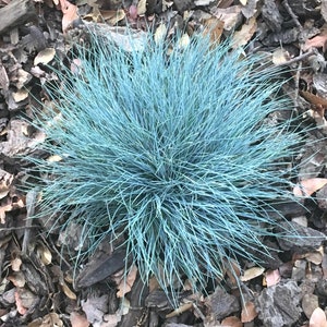 May include: A rustic wooden sign with the text "Welcome to our home" in white lettering. The sign features a distressed finish and a simple, inviting design, perfect for front door decor.