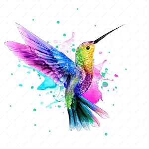 Watercolor Hummingbird Png, Hummingbird Png, Hummingbird Clipart, Hummingbird Art, Hummingbird Lovers, PNG File