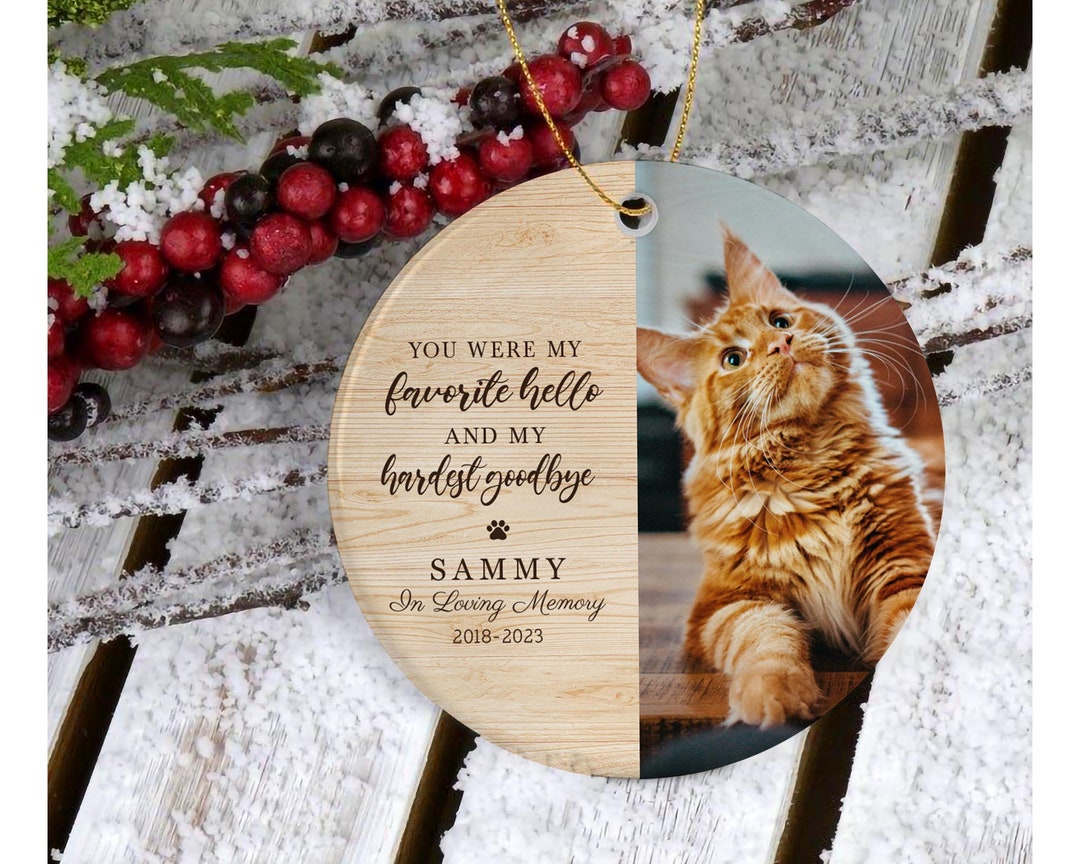 Cat Memorial Photo Ornament PNG, in Loving Memory of Cat Png, Cat ...