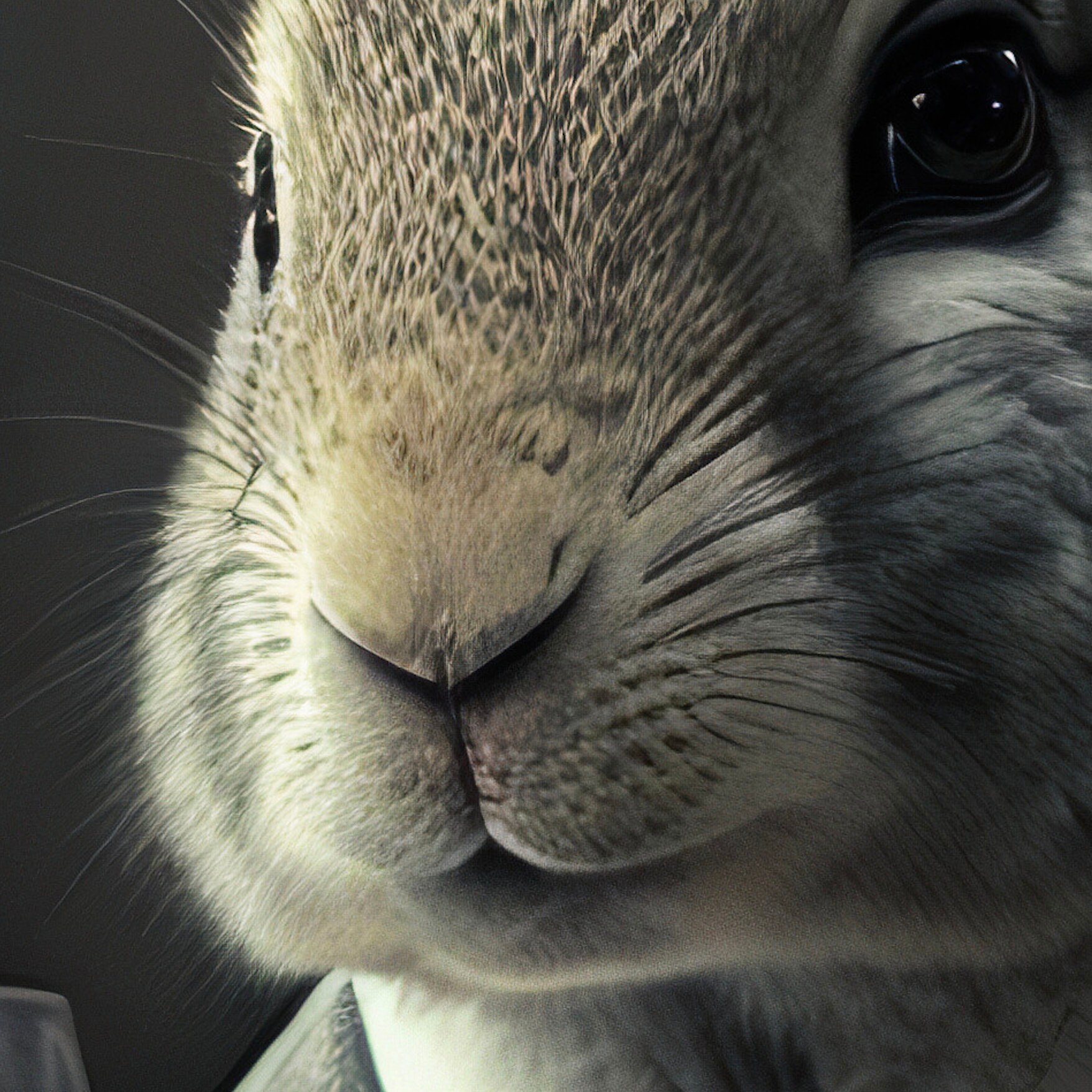 Kitchen Wall Decor, Digital Rabbit in a Suit Portrait, Download Prints ...