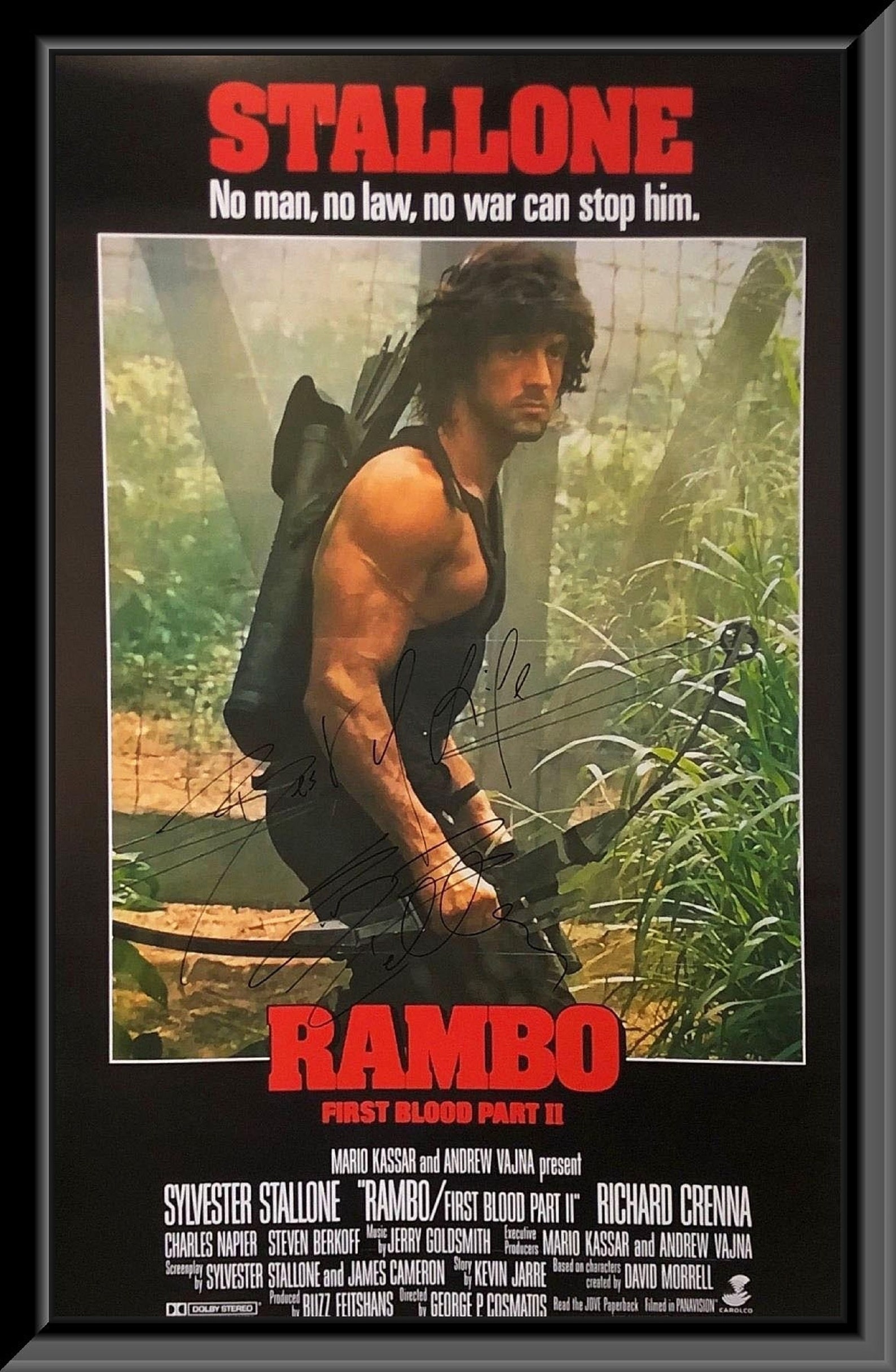 Todas Las Peliculas De Silvestres Talon
