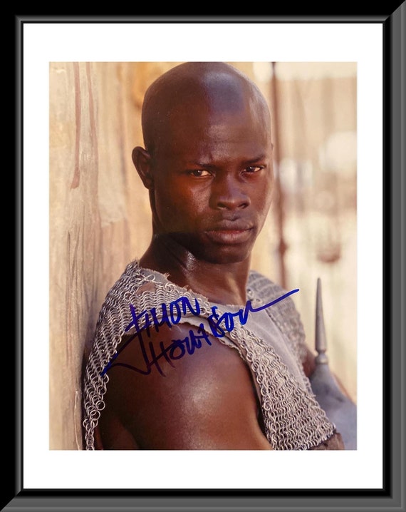 Djimon Hounsou A Hollywood Icon And Humanitarian Advocate - gdyho1v