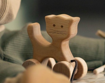 Montessori Spielzeug, Holzspielzeug, Spielzeug für 1 2 jährige, Kleinkind Geschenk, Tiere auf Rädern für Kinder, Baby Geburtstagsgeschenk