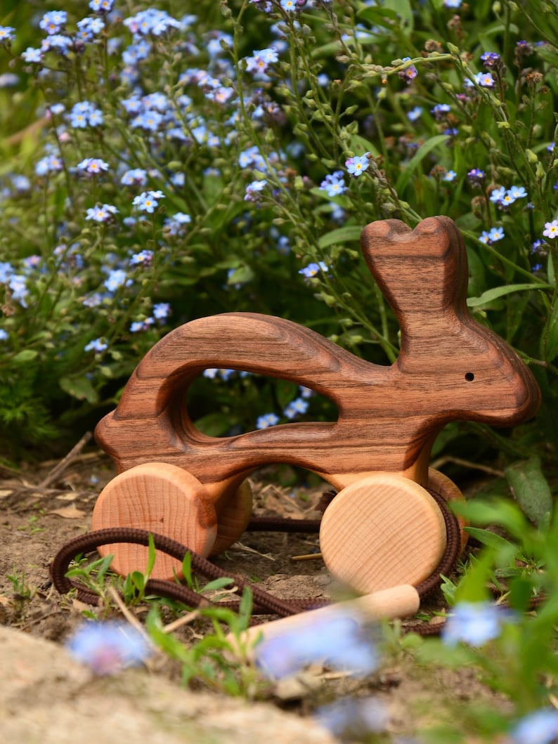 Wooden Bunny Pull & Push Toy: Educational Toddler Toy, Montessori ...