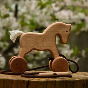 Houten paard trek- en duwspeelgoed voor peuters, educatief Montessorispeelgoed, cadeau babyjongen meisje, Waldorf dierenspeelgoed, cadeaus voor kinderen, handgemaakt speelgoed